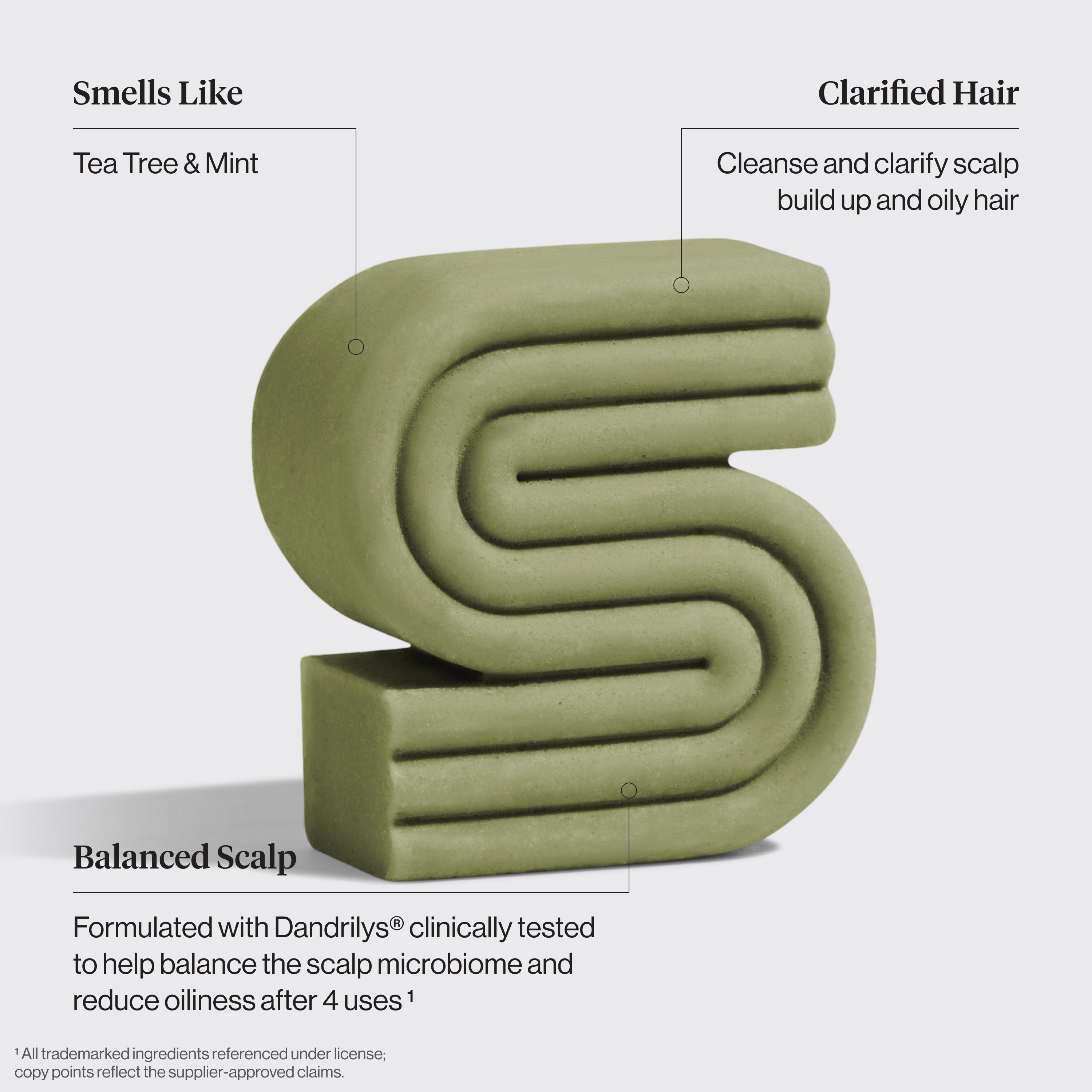 Tea Tree & Mint Clarifying Shampoo & Conditioner Bar Combo