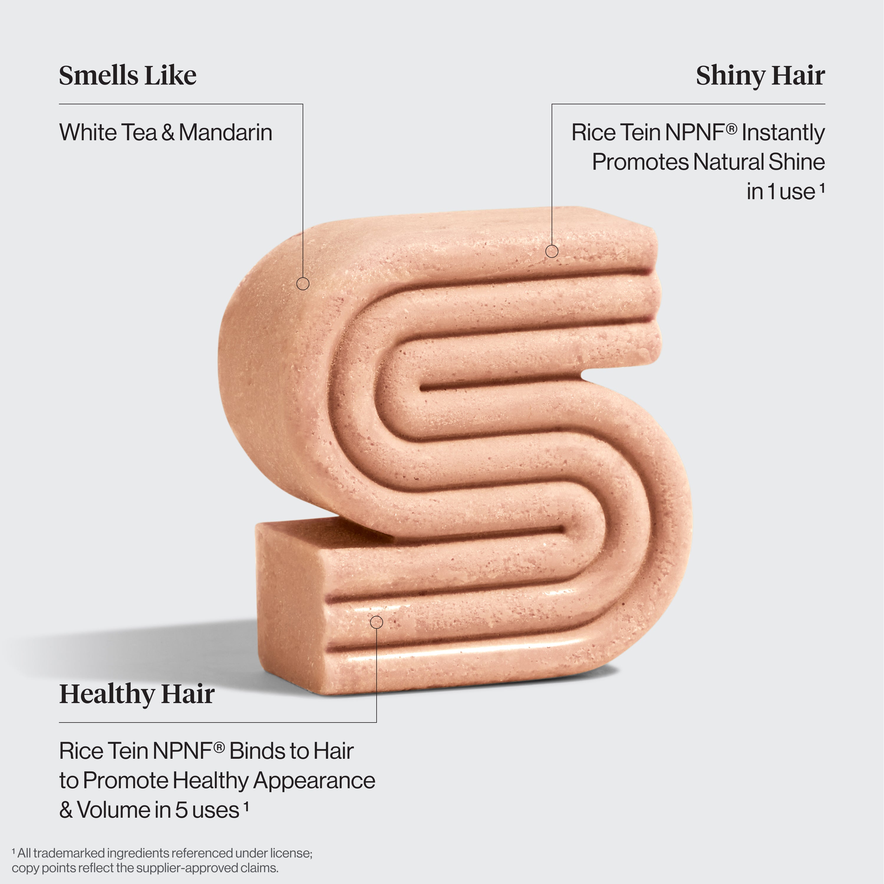 Rice Water Shampoo & Conditioner. Kojic Acid Wash. FREE Terracotta Soap Dish & FREE Shipping