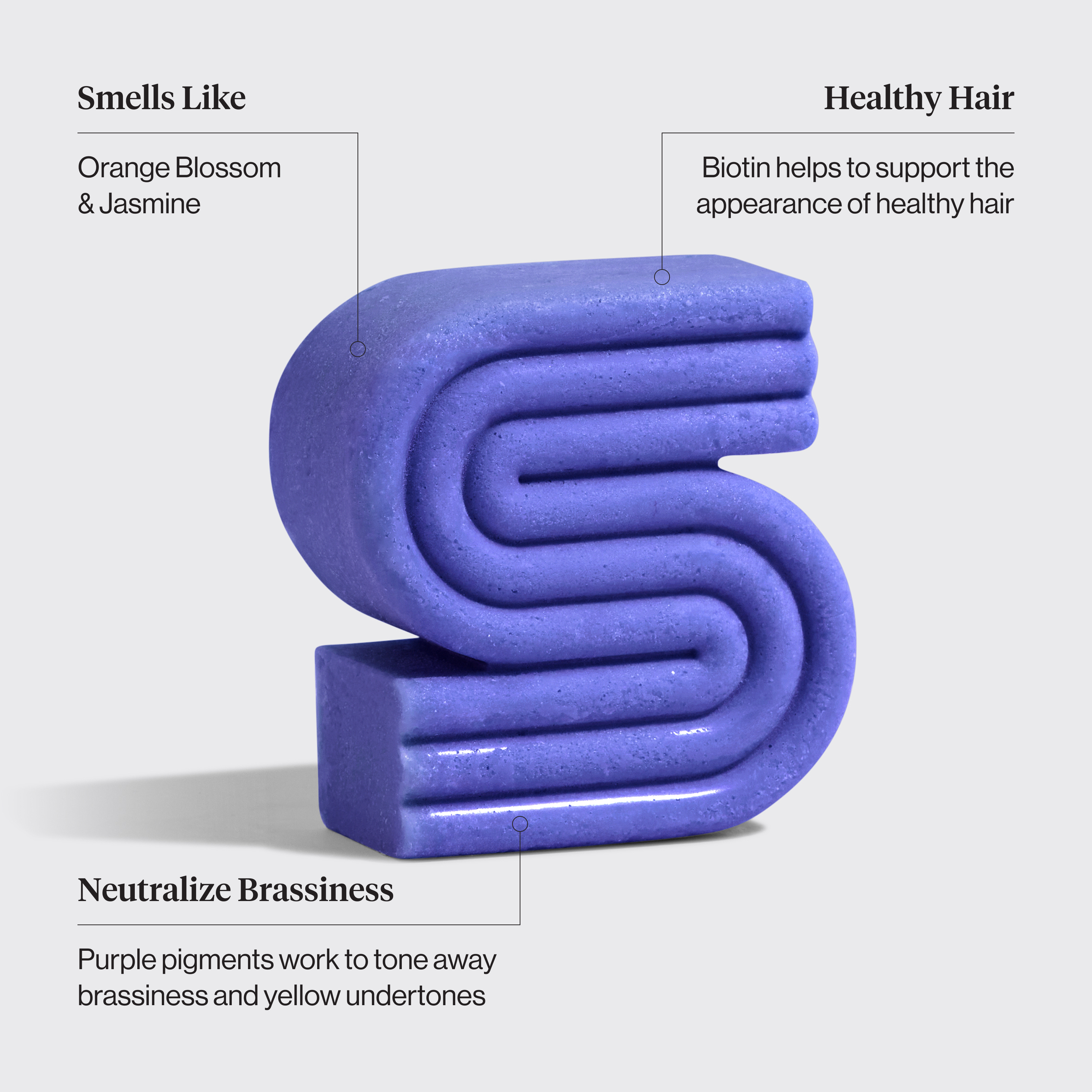 Purple Toning Shampoo Bar for Color Treated & Grey Hair